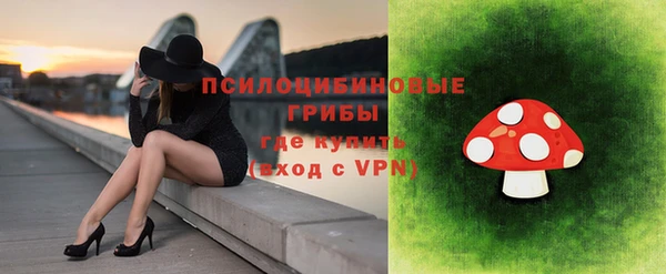сатива Алексин
